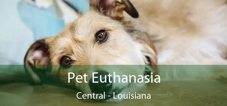 Pet Euthanasia Central - Louisiana