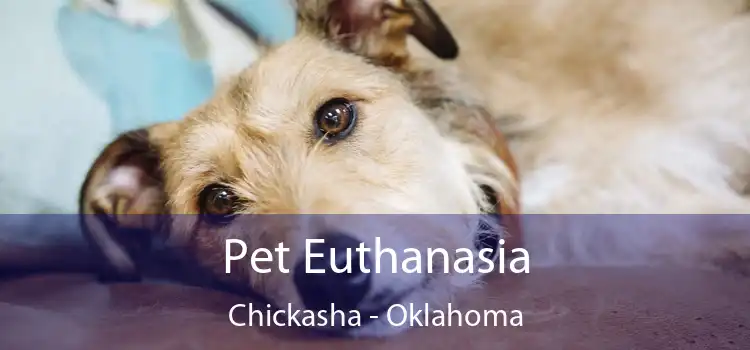 Pet Euthanasia Chickasha - Oklahoma