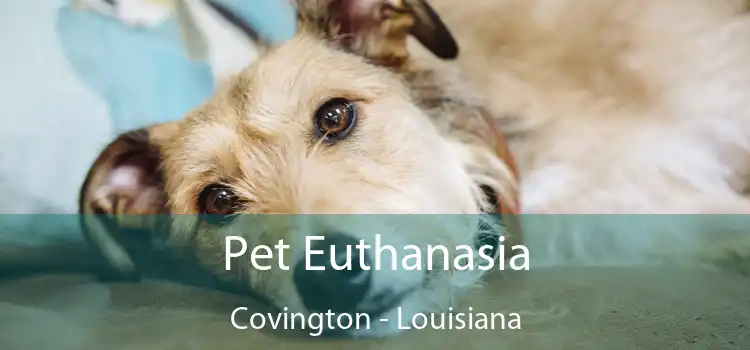 Pet Euthanasia Covington - Louisiana