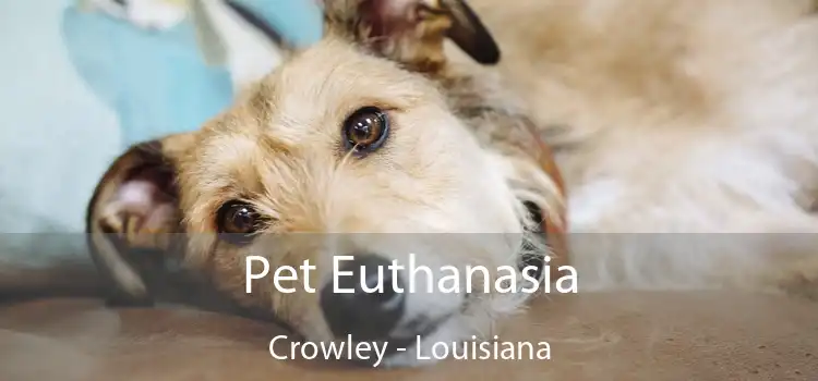 Pet Euthanasia Crowley - Louisiana