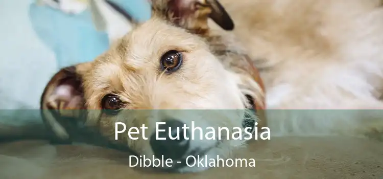 Pet Euthanasia Dibble - Oklahoma