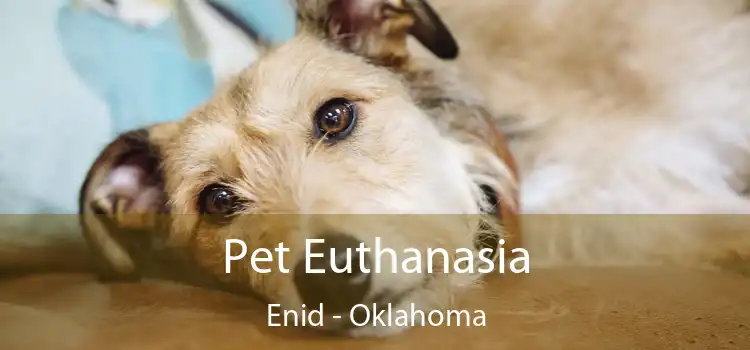 Pet Euthanasia Enid - Oklahoma