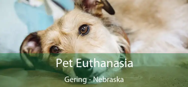 Pet Euthanasia Gering - Nebraska