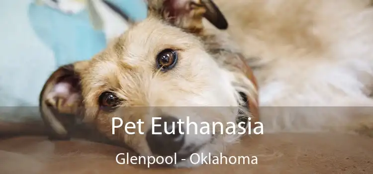 Pet Euthanasia Glenpool - Oklahoma