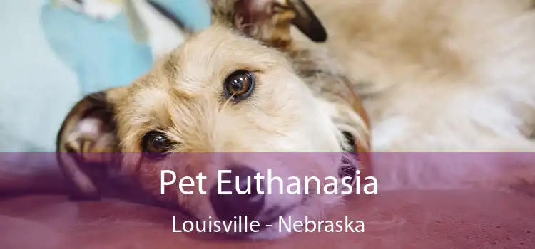 Pet Euthanasia Louisville - Nebraska