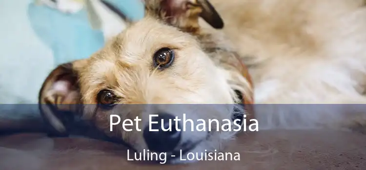 Pet Euthanasia Luling - Louisiana