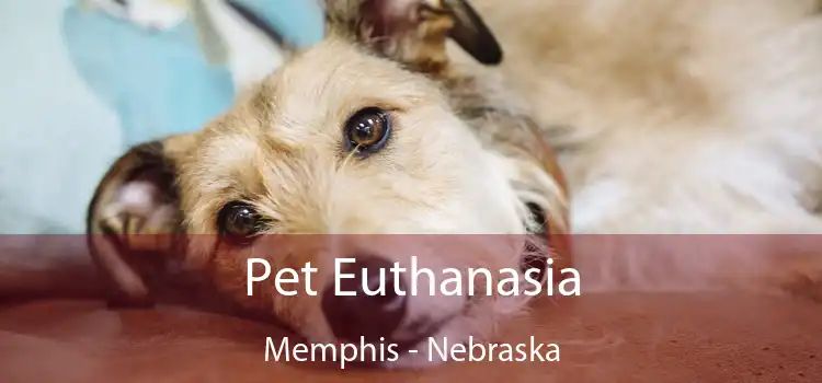 Pet Euthanasia Memphis - Nebraska