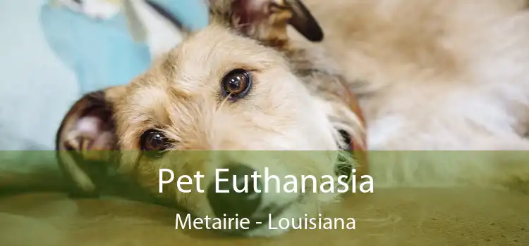 Pet Euthanasia Metairie - Louisiana