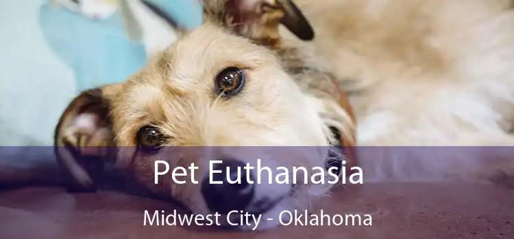 Pet Euthanasia Midwest City - Oklahoma