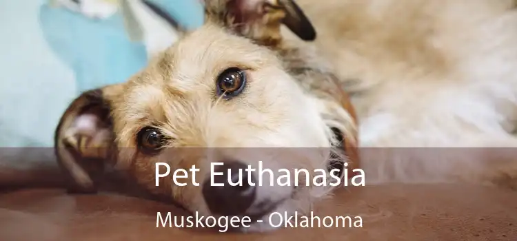 Pet Euthanasia Muskogee - Oklahoma