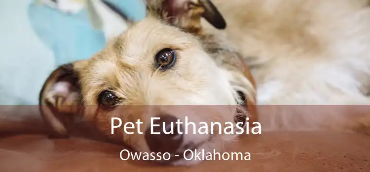 Pet Euthanasia Owasso - Oklahoma