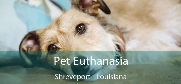 Pet Euthanasia Shreveport - Louisiana