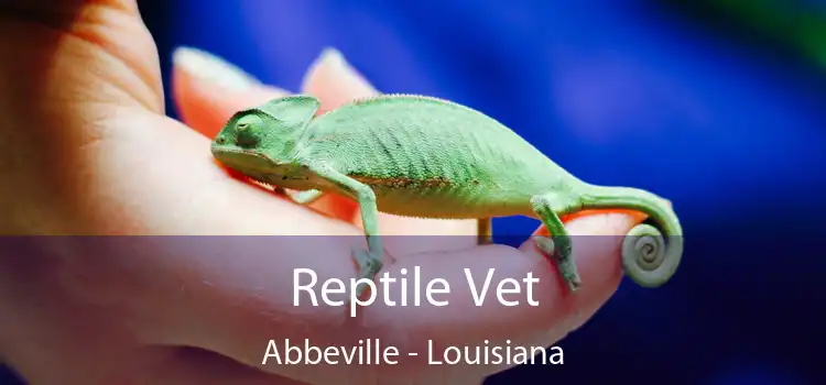 Reptile Vet Abbeville - Louisiana