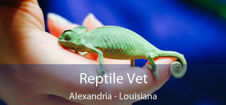 Reptile Vet Alexandria - Louisiana