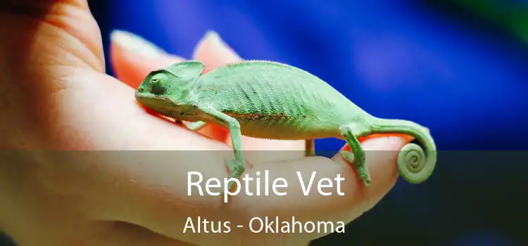 Reptile Vet Altus - Oklahoma