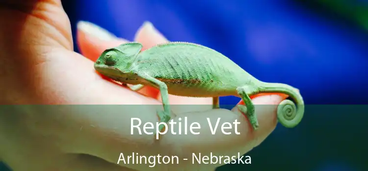 Reptile Vet Arlington - Nebraska