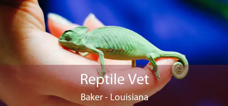 Reptile Vet Baker - Louisiana