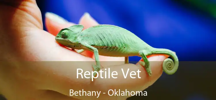 Reptile Vet Bethany - Oklahoma