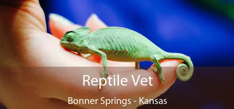 Reptile Vet Bonner Springs - Kansas