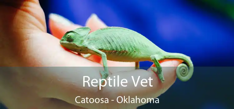 Reptile Vet Catoosa - Oklahoma