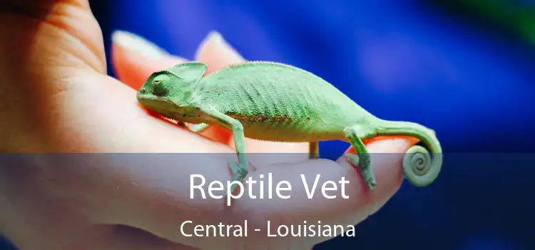 Reptile Vet Central - Louisiana