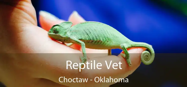 Reptile Vet Choctaw - Oklahoma