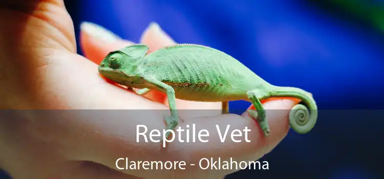 Reptile Vet Claremore - Oklahoma