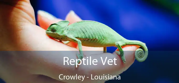 Reptile Vet Crowley - Louisiana