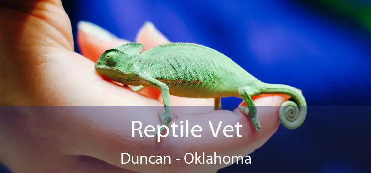 Reptile Vet Duncan - Oklahoma