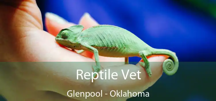 Reptile Vet Glenpool - Oklahoma