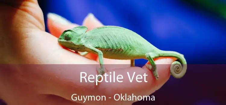 Reptile Vet Guymon - Oklahoma