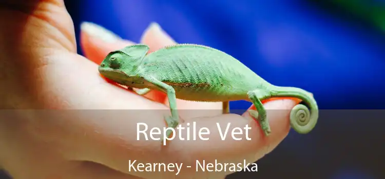 Reptile Vet Kearney - Nebraska