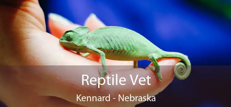 Reptile Vet Kennard - Nebraska