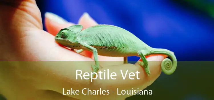 Reptile Vet Lake Charles - Louisiana