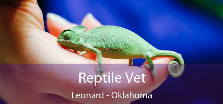 Reptile Vet Leonard - Oklahoma