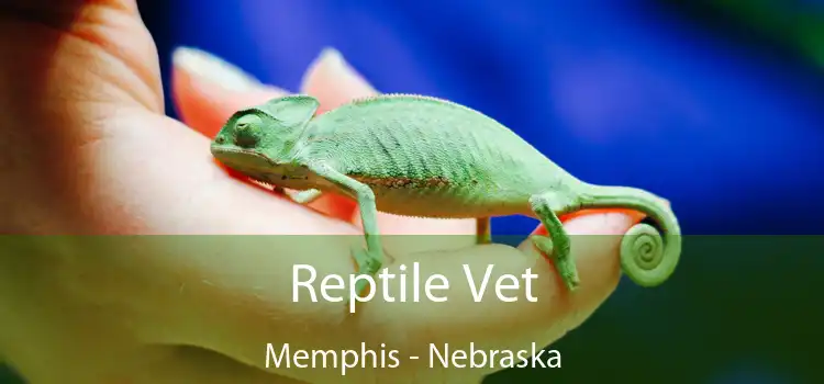 Reptile Vet Memphis - Nebraska