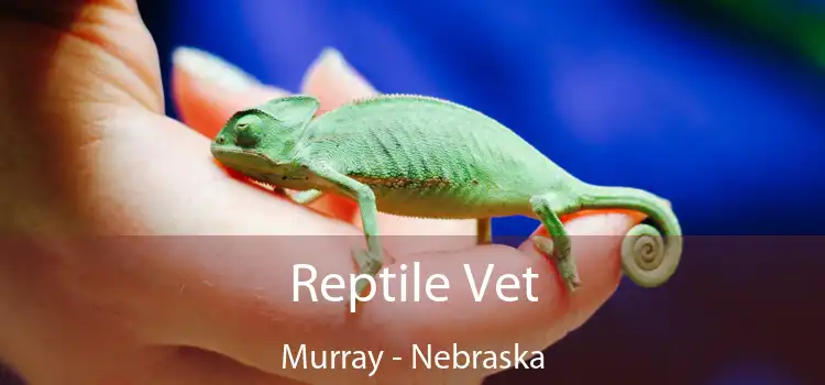 Reptile Vet Murray - Nebraska