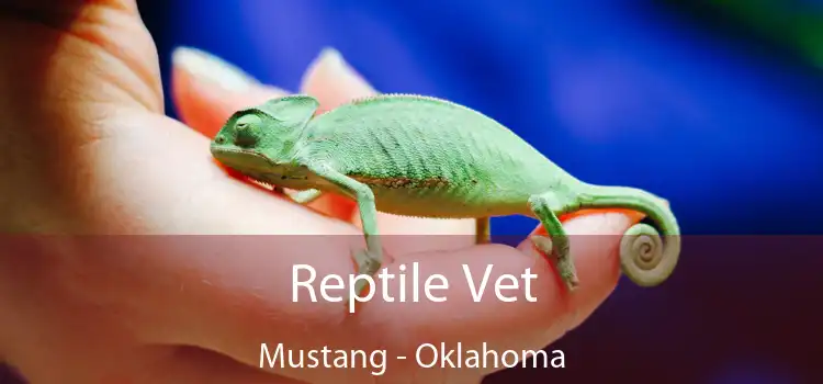 Reptile Vet Mustang - Oklahoma