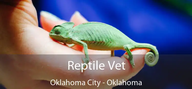 Reptile Vet Oklahoma City - Oklahoma