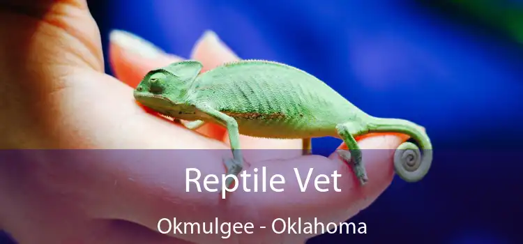 Reptile Vet Okmulgee - Oklahoma