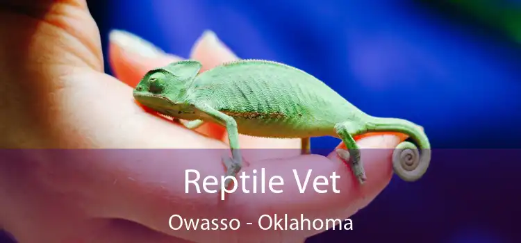 Reptile Vet Owasso - Oklahoma