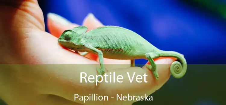 Reptile Vet Papillion - Nebraska