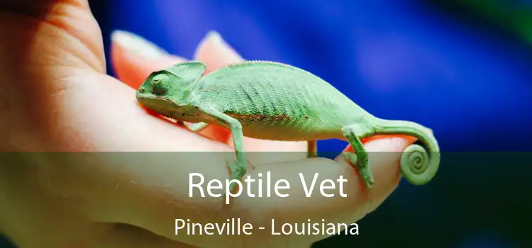 Reptile Vet Pineville - Louisiana