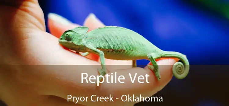 Reptile Vet Pryor Creek - Oklahoma