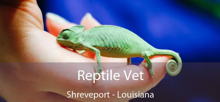 Reptile Vet Shreveport - Louisiana