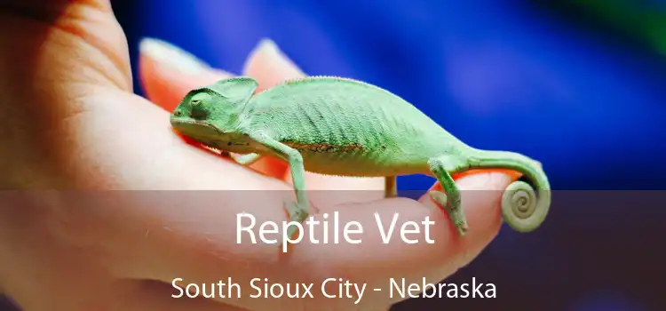 Reptile Vet South Sioux City - Nebraska