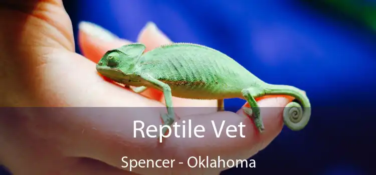 Reptile Vet Spencer - Oklahoma