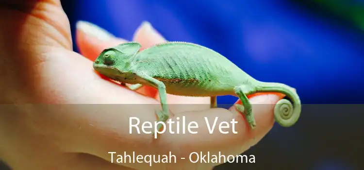 Reptile Vet Tahlequah - Oklahoma