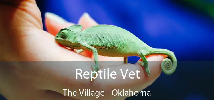 Reptile Vet The Village - Oklahoma