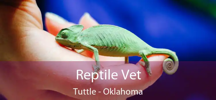 Reptile Vet Tuttle - Oklahoma